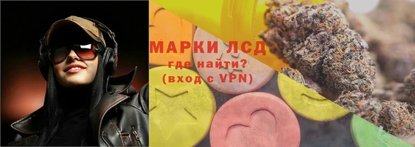 крисы Козельск