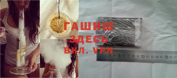 крисы Козельск