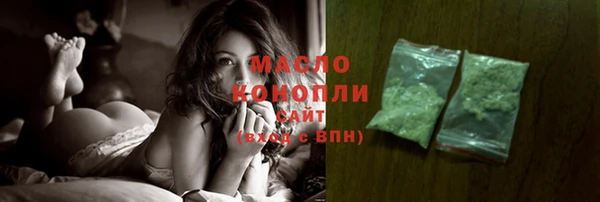 крисы Козельск