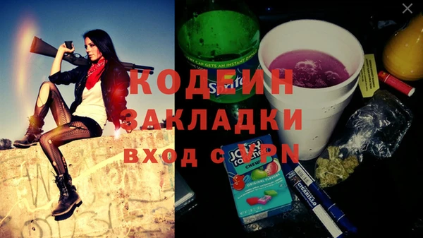 крисы Козельск