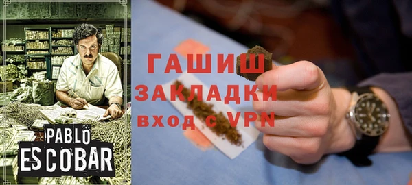 крисы Козельск