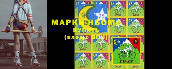 крисы Козельск