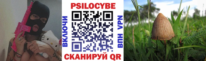 Галлюциногенные грибы ЛСД  площадка как зайти  Кола  закладка 
